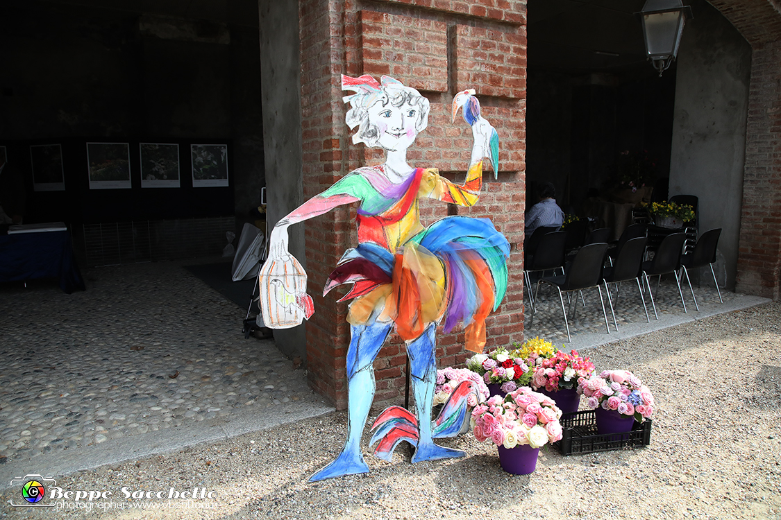 VBS_4630 - Premio della Rosa Principessa Maria Letizia - Sesta edizione 0045.jpg